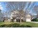 Well-maintained front yard with green grass, mature trees, and manicured bushes at 4619 Paces Ferry Dr, Durham, NC 27712