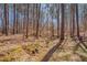 A scenic backyard showing the natural beauty of the land at 501 Hiddenbrook Dr, Durham, NC 27703