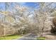 A tree-lined driveway leading to a beautiful home, creating a picturesque entrance at 6452 Therfield Dr, Raleigh, NC 27614
