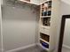Custom walk-in closet with organized shelving and hanging rods at 101 Maroon Ct, Raleigh, NC 27610