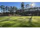 Beautiful backyard with sunlit green grass and shady trees at 102 Heatherglenn Cir, Princeton, NC 27569
