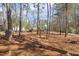 Home's wooded lot with an abundance of trees and natural setting at 113 Valley Ln, Pittsboro, NC 27312
