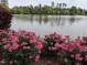 Picturesque lake view framed by vibrant pink flowers, adding charm to the property's setting at 116 Lakeshore Dr, Durham, NC 27713