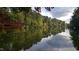 Scenic view of a lake surrounded by lush green trees, creating a peaceful and picturesque setting at 116 Lakeshore Dr, Durham, NC 27713