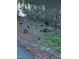 Charming scene with ducks and ducklings near the pond, highlighting a peaceful environment at 116 Lakeshore Dr, Durham, NC 27713