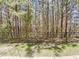 View of the backyard and surrounding trees through a metal fence at 11700 Coppergate Dr # 105, Raleigh, NC 27614