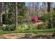 Landscaped backyard showcasing mature trees and colorful foliage, creating a picturesque and tranquil outdoor space at 122 W Woodridge Dr, Durham, NC 27707