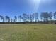Open grassy backyard with a line of mature trees in the distance, creating a serene setting at 176 Clear Water Dr, Smithfield, NC 27577