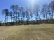 Expansive grassy backyard bordered by mature trees, providing privacy and natural beauty at 176 Clear Water Dr, Smithfield, NC 27577