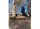 Backyard featuring mature trees and leafy ground at 249 Bailey'S Crossroads Rd, Benson, NC 27504