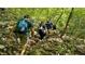 Lush and scenic hiking trail for outdoor enthusiasts to enjoy nature and exercise at 4720 Cypress Tree Ln, Raleigh, NC 27612