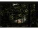 View of wooden dock surrounded by lush trees and tranquil water at 529 Flanagan Rd, Henderson, NC 27537