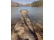 Wooden dock with rope leading out into calm water at 529 Flanagan Rd, Henderson, NC 27537