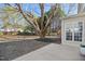 Expansive backyard with beautiful birch tree, spacious lawn, and privacy fence at 7604 Derek Dr, Raleigh, NC 27613
