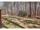 A verdant backyard with a canopy of trees overhead provides privacy and natural beauty at 7917 Blaney Franks Rd, Apex, NC 27539
