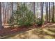 A verdant backyard with a backdrop of trees, shrubbery and natural beauty at 7917 Blaney Franks Rd, Apex, NC 27539