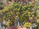 Aerial view of property with surrounding trees and approximate boundary lines at 182 Mill Bend Dr, Fuquay Varina, NC 27526