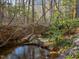 Tranquil creek flowing through the natural backyard landscape at 182 Mill Bend Dr, Fuquay Varina, NC 27526