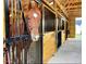 Close up of a chestnut horse in a wood paneled stall with iron gate at 2142 Henderson Tanyard Rd, Pittsboro, NC 27312