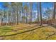 Expansive backyard with mature trees and a wooden fence, offering privacy and a natural setting for outdoor enjoyment at 3 Guilder Cv, Durham, NC 27713