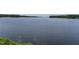 Expansive lake view with trees and horizon at 315 Deercroft Dr, Apex, NC 27539