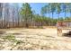 Large fenced backyard featuring bare ground and tall trees, with a wooden deck visible on the right at 40 Poplar Bark Dr, Youngsville, NC 27596