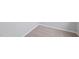 Light grey carpet with matching base trim at 104 Ripple Way # 318, Clayton, NC 27520