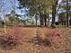 View of a lush backyard with mature trees, landscaping, and natural beauty at 3009 Kildaire Dairy Way, Apex, NC 27539