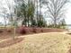 View of a sprawling backyard with mature trees, landscaping, and natural beauty at 3009 Kildaire Dairy Way, Apex, NC 27539