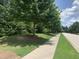 Neighborhood sidewalk along a tree-lined street with well-maintained lawns and landscaping at 4026 Overcup Oak Ln, Cary, NC 27519