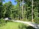A winding trail through a forest showcasing accessible outdoor recreation for residents and visitors alike at 4026 Overcup Oak Ln, Cary, NC 27519