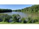 Picturesque lake view framed by trees and greenery, perfect for relaxation and nature appreciation at 6926 Leesville Rd, Raleigh, NC 27613