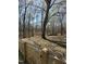 Backyard featuring a partially wooded area with mature trees and a wooden gate at 6932 Buckhorn Duncan Rd, Holly Springs, NC 27540