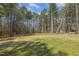 Large, grassy backyard surrounded by trees and a bright blue sky at 808 Cross Link Dr, Angier, NC 27501