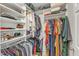 Walk-in closet with custom shelving provides ample storage space for clothes and accessories at 1320 Rushing Creek Pkwy, Raleigh, NC 27610