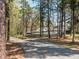 Scenic view of a community pool accessible via a path through mature trees in a park-like setting at 5347 Cypress Ln, Raleigh, NC 27609