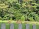 Deer Gathering in the yard at 1188 Turner Rd, Creedmoor, NC 27522