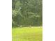 Turkeys in the yard at 1188 Turner Rd, Creedmoor, NC 27522