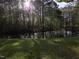 Picturesque pond surrounded by lush greenery and mature trees, offering a serene view at 2000 Mountain Laurel Dr, Clayton, NC 27527