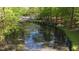 Picturesque pond with fountain surrounded by lush greenery and trees, adding natural beauty at 2000 Mountain Laurel Dr, Clayton, NC 27527