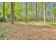 Expansive backyard with towering trees and a carpet of pine needles offers a private outdoor retreat at 201 Wortham Dr, Raleigh, NC 27614