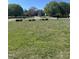 Large front lawn with mature trees, showcasing landscaping potential at 1721 Daniels Farm Rd, Mebane, NC 27302