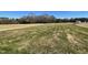 Expansive backyard of property with newly planted lawn at 26 Harvest Hills Ln, Dunn, NC 28334