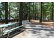 Picturesque park scene with a picnic table, paved pathway, and tall trees, ideal for outdoor activities at 304 Calvander Ln, Apex, NC 27539