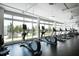 Well-equipped fitness center with cardio machines and large windows overlooking outdoor landscape at 110 N Corcoran St # 2502, Durham, NC 27701