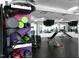 Modern weight room with mirrored walls, various machines, and dedicated weight storage at 110 N Corcoran St # 2502, Durham, NC 27701
