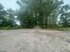 Cleared lot ready for construction with mature trees in the background at 1565 Pecan Drive # 30, Nashville, NC 27856