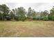 Large backyard with a tree line, green grass and outdoor play equipment at 327F Bobbitt Rd, Clayton, NC 27520