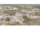 Aerial view of the neighborhood showcasing well-maintained homes and tree lined streets at 401 Molina Ct, Rolesville, NC 27571