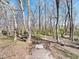 View of a backyard featuring mature trees and playground equipment, perfect for Gathering activities at 904 Hidden Jewel Ln, Wake Forest, NC 27587